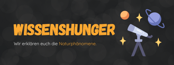 Header-Wissenshunger.png  